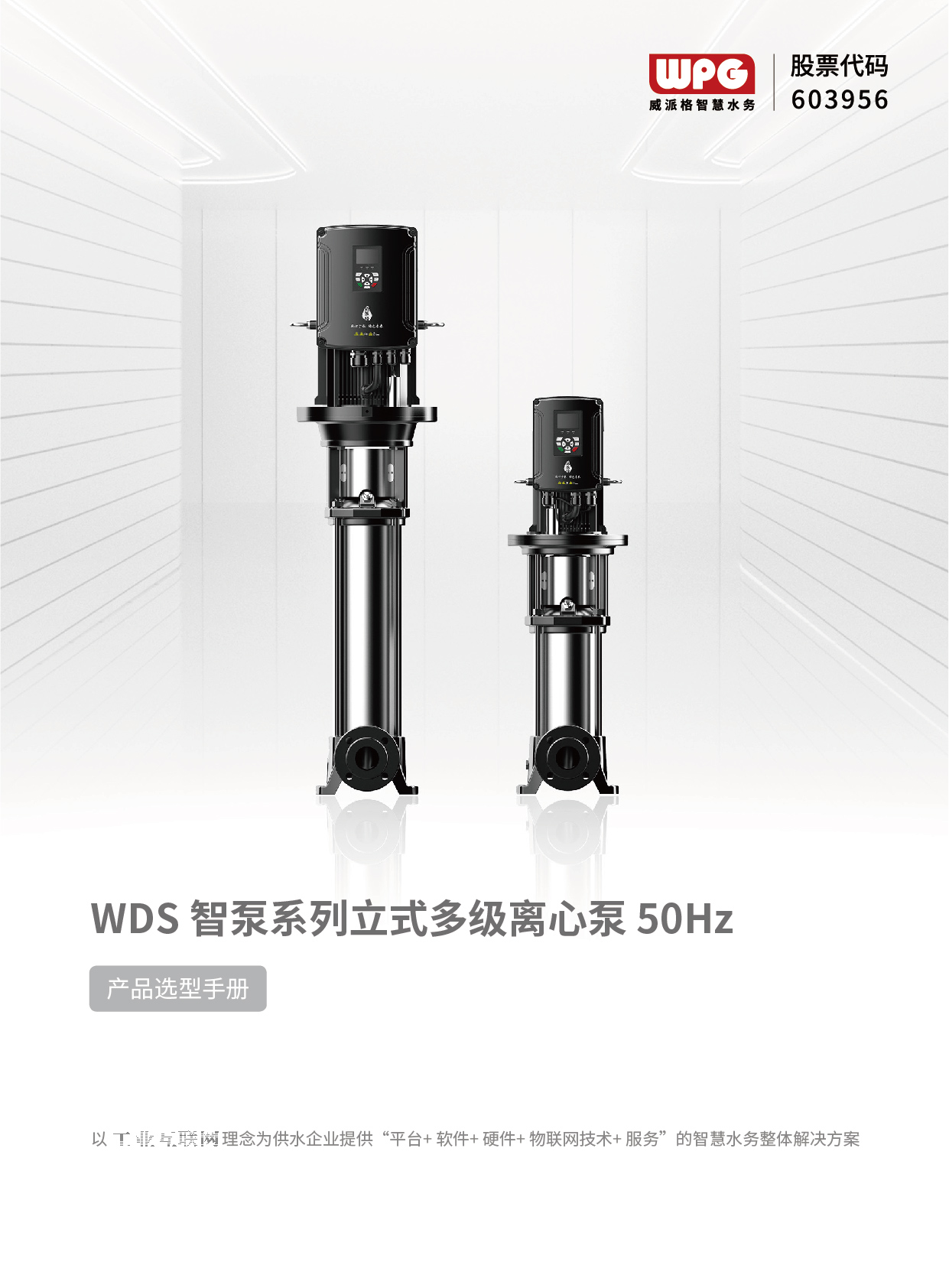 WDS智泵系列立式多级离心泵50Hz