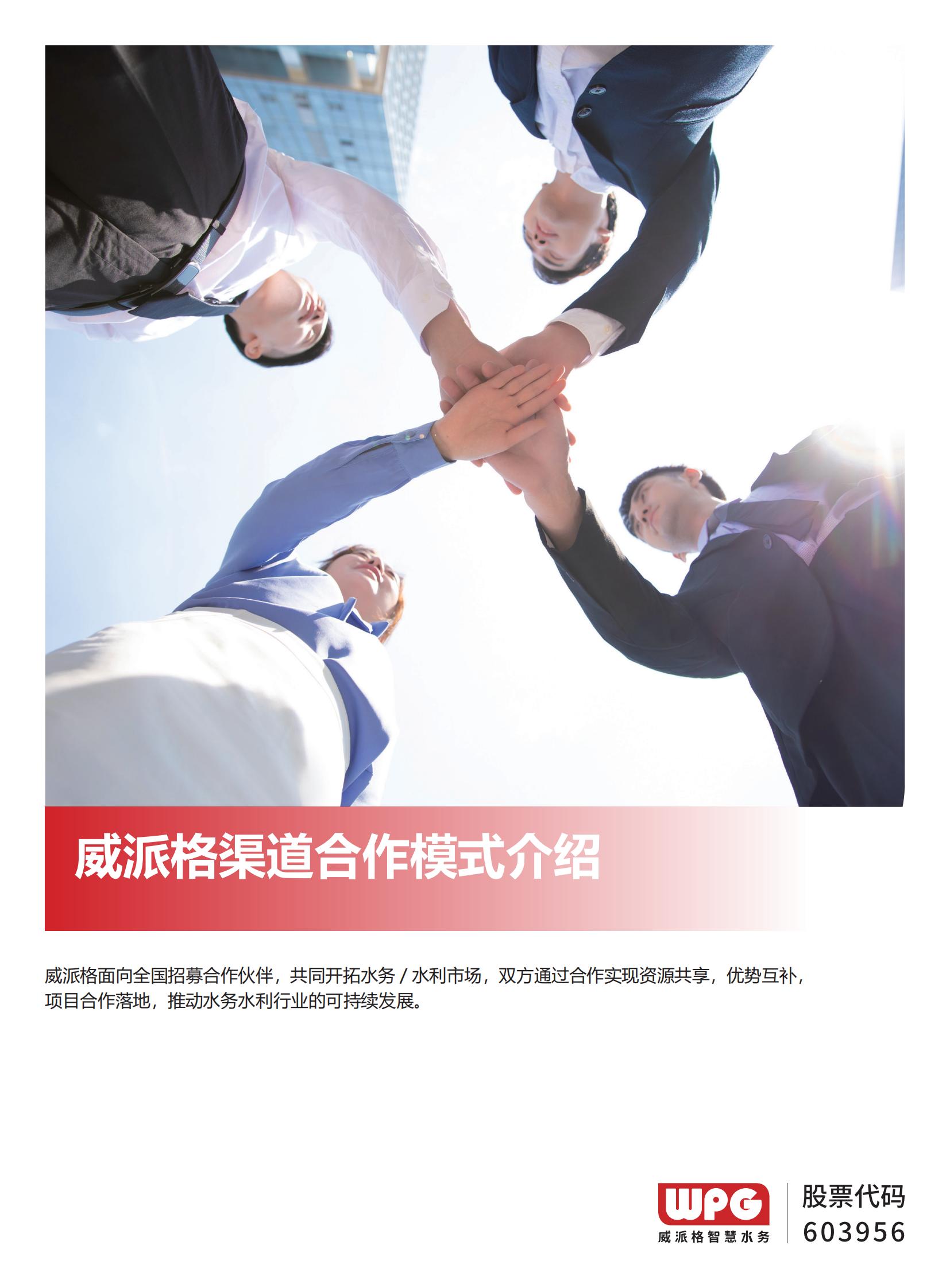 威派格渠道合作模式介绍