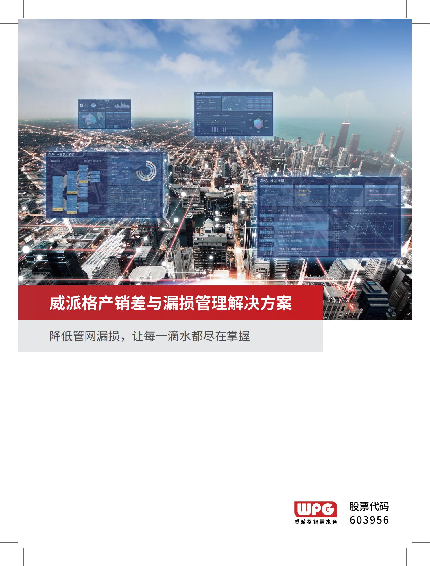 威派格产销差与漏损管理方案